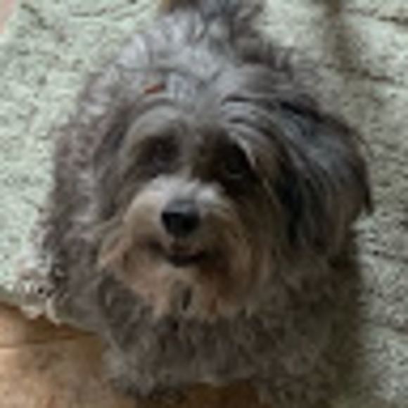 Meet your Posher, Katherine - Picture 1 of 1